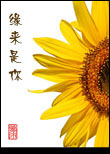 youcover1
